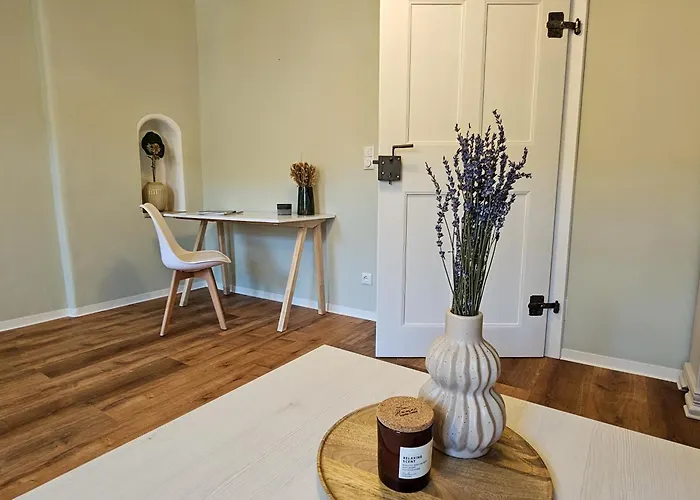 Micasa - Altbauflair Im Denkmal, Parken, Nahe Messe - Ega - Mdr Erfurt